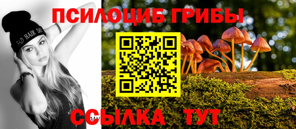 Галлюциногенные грибы мицелий  Псилоцибиновые грибы Cubensis  Вход с VPN  Карачаевск 