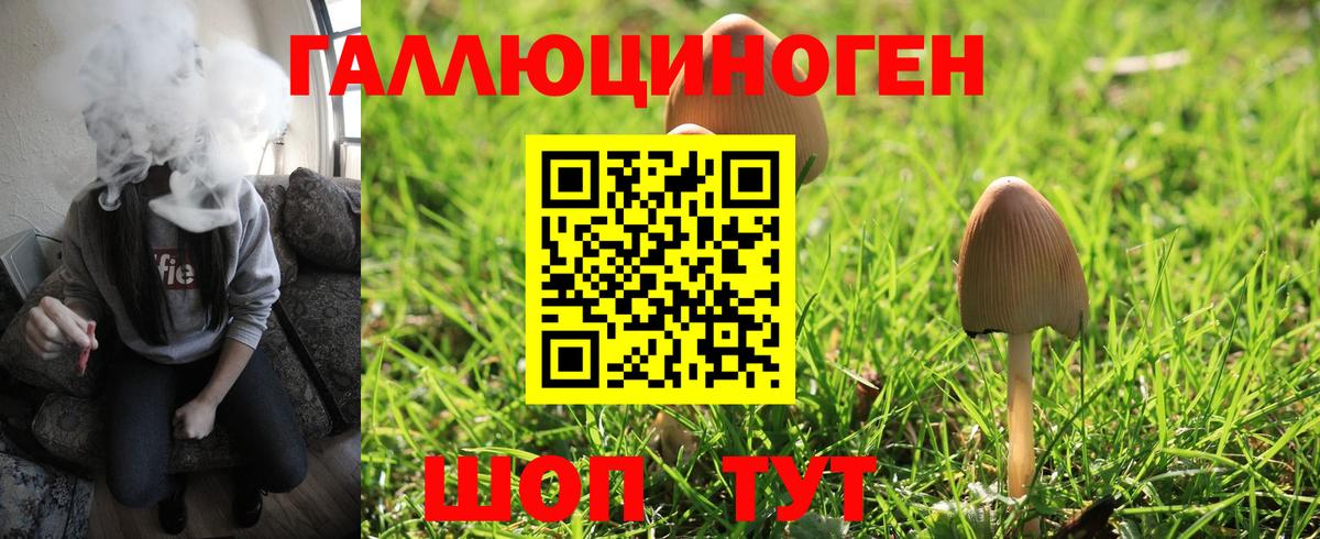 Псилоцибиновые грибы Cubensis Карачаевск